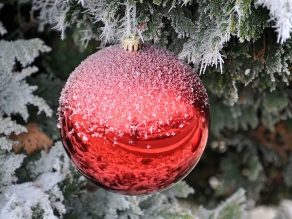 Weihnachtsnachruf